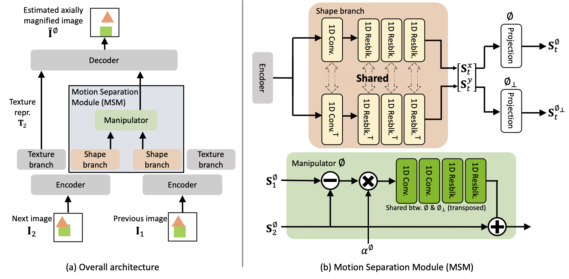 Axial motion magnification architecture